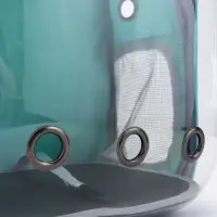 Рюкзак для переноски животных прозрачный, 31 х 28 х 42 см, бирюзовый