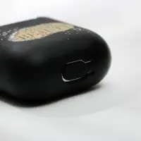 Футляр для беспроводных наушников Stay WILD, 5,5 х 4,7 см