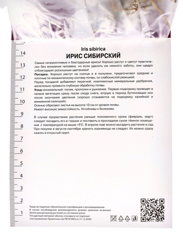 Ирис сибирский Шугар Раш, р-р I, 1 шт, Весна 2025