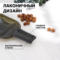 Менажница из бутылки &laquo;Селена&raquo;, 30&times;15&times;2 см, с двумя отделениями