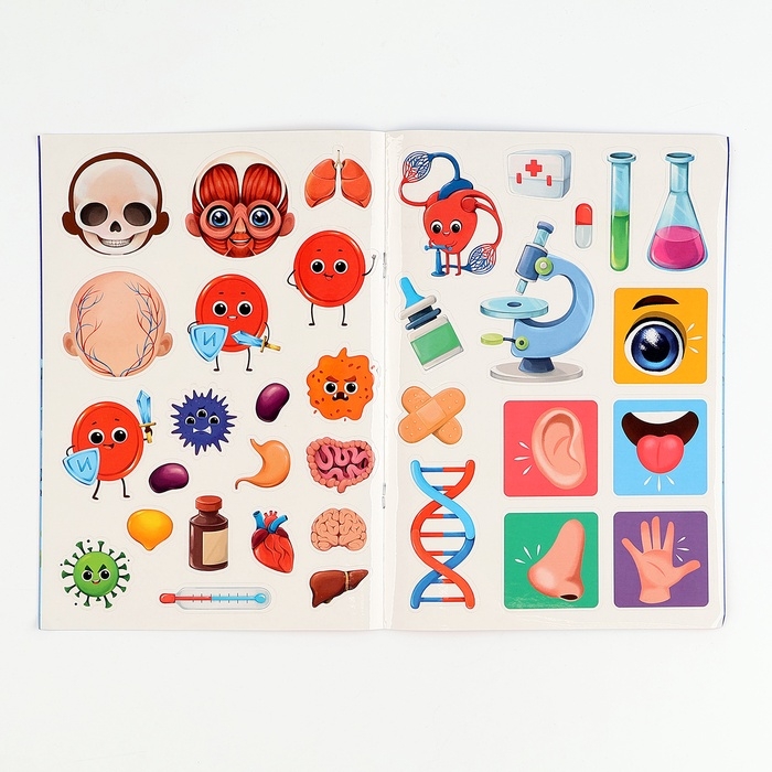 Обучающий набор &laquo;Тело человека&raquo;, рамка-вкладка и книга с наклейками