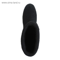 Валенки мужские, цвет чёрный, размер 43-44 (31)