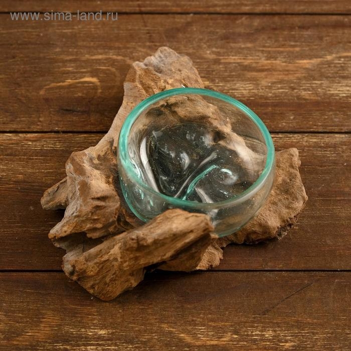 Вазон стекло на коряге "Блюдо" 15х15х8 см