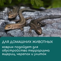 Коврик из кокосового волокна, для выращивания микрозелени, 50 &times; 25 см, Greengo