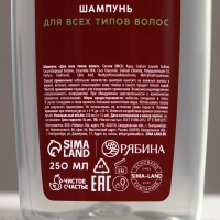 Подарочный набор косметики &laquo;С Новым Годом!&raquo;, гель для душа и шампунь для волос, 2 х 250 мл, ЧИСТОЕ СЧАСТЬЕ