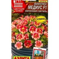 Семена цветов Мимулюс Медиус F1 малиновая пастель  (драже) С. Cerny Цветущий балкон, Ц/П,10 шт. 1094