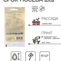 Семена огурца "Али-Баба", F1, 10 шт.