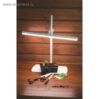 Кассета для рассады, на 6 ячеек, по 120 мл, пластиковая, чёрная, 18 &times; 13 &times; 6 см, в наборе 10 шт., Greengo