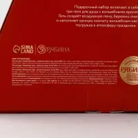 Гель для душа Happy New Year, набор 3 шт х 100 мл, URAL LAB