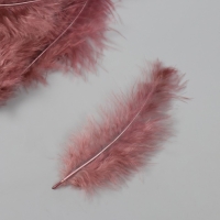 Перо декоративное гусиное пуховое "Кофе" набор 40 шт h=10-15 см