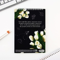 Подарочный набор «Лучшему учителю»: блокнот А5, 40 листов, ручка Подарочный набор «Лучшему учителю»: блокнот А5, 40 листов, ручка