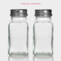 Набор для специй из стекла Доляна &laquo;Стандарт&raquo;, 2 предмета: солонка, перечница 100 мл