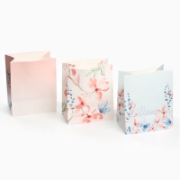 Набор крафтовых пакетов со стикерами, Принцессы, 18х22х12 см