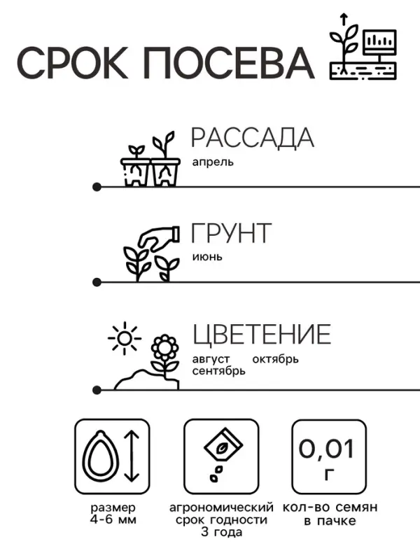 Семена Кортадерия Серебристая "Пампасная трава", ц/п,  0,01 гр.
