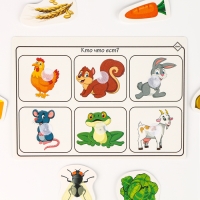 Набор развивающих игр на липучках &laquo;Я изучаю мир&raquo;