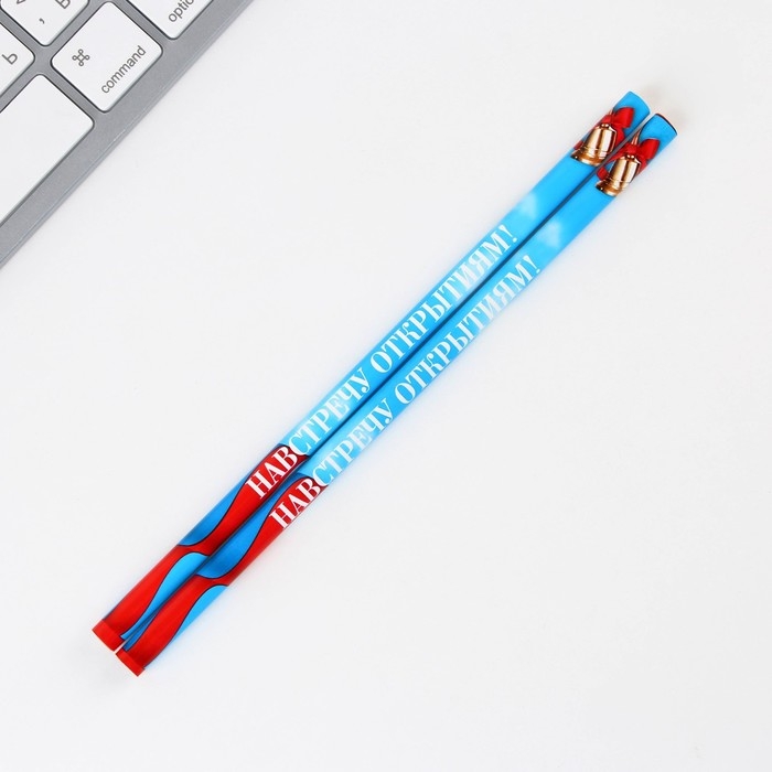 Подарочный набор на выпускной &laquo;Прощай школа&raquo; 4 предмета