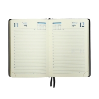 Ежедневник датированный 2025 года, A5, 168 листов в линейку, кожзам "Небраска", золотой срез, черный