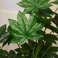 Дерево искусственное "Фатсия" 80 см Дерево искусственное "Фатсия" 80 см