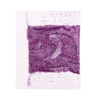 Набор для опытов &laquo;Новогодние бомбочки&raquo;, со змейкой, своими руками