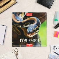 Календарь перекидной на скрепке "Символ года - 1" 2025 год, 6 листов, 29х29 см Календарь перекидной на скрепке "Символ года - 1" 2025 год, 6 листов, 29х29 см
