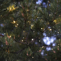 Гирлянда «Нить» 10 м, IP44, тёмная нить, 100 LED, свечение тёплое белое, 8 режимов, 220 В Гирлянда «Нить» 10 м, IP44, тёмная нить, 100 LED, свечение тёплое белое, 8 режимов, 220 В