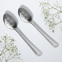 Ложки с гравировкой, набор 2 шт  &laquo;Для сладкой парочки&raquo;, 15,5 х 25,5 см.