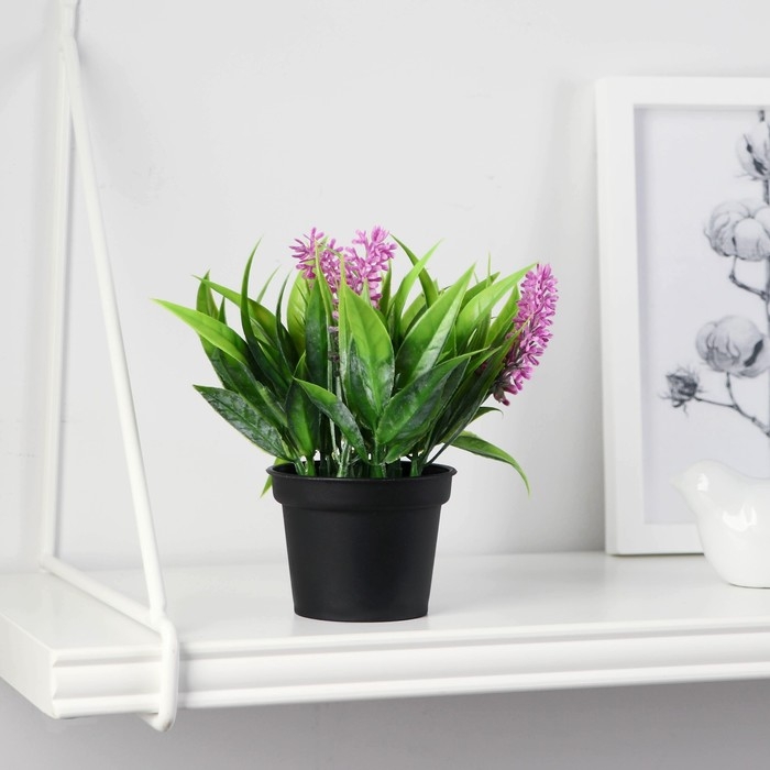 Бонсай в горшке Бонсай в горшке "Аллиум люкс" 7х12 см, микс