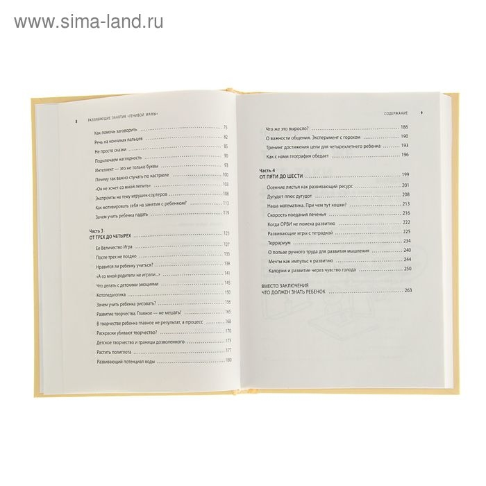 &laquo;Развивающие занятия &laquo;ленивой мамы&raquo;, Быкова А. А.