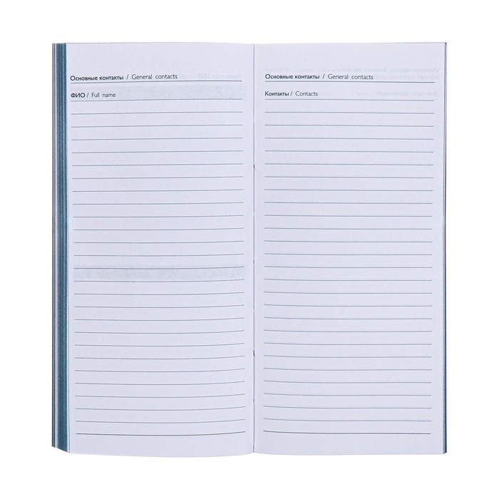 Еженедельник датированный 2025 года, 80х165 мм, 64 листа ESCALADA, мягкая обложка из искусственной кожи, блинтовое тиснение, блок 70 г/м&sup2;, голубой