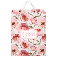 Пакет подарочный "Сияй" 18х23х10 см, упаковка, Принцессы