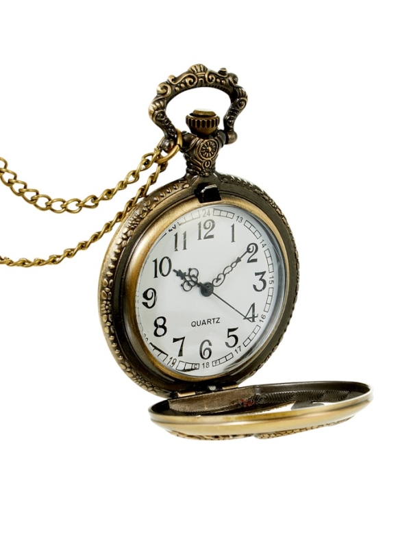 Часы карманные символ года &laquo;Змея&raquo;, кварцевые, цепочка l-40 см, d-4.5 см, Змея