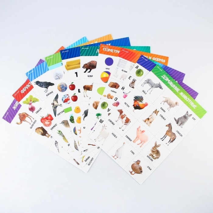 Набор обучающих плакатов &laquo;Изучаем мир&raquo;, 10 в 1, А4