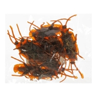 Прикол «Таракан», набор 12 шт. Прикол «Таракан», набор 12 шт.