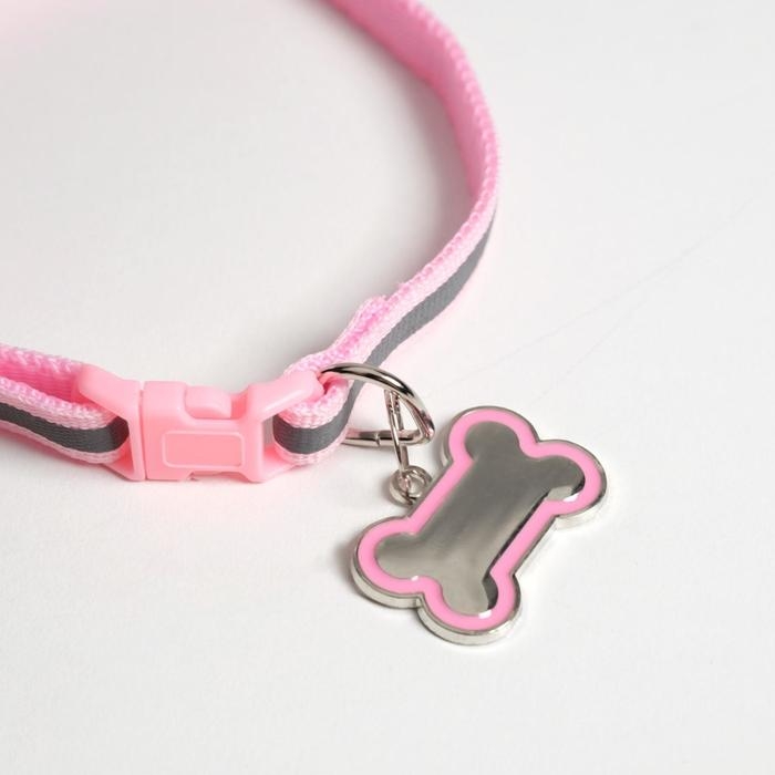 Ошейник светоотражающий с адресником, 30&times;1 см, капрон, розовый