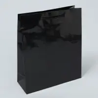 Пакет подарочный ламинированный, упаковка, &laquo;Чёрный&raquo;, ML 21 х 25 х 8 см