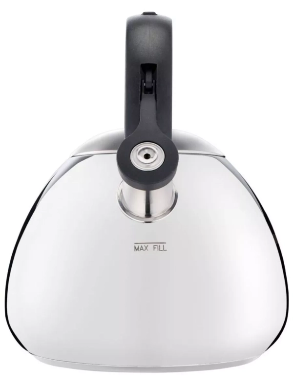 Чайник для плиты Duetto+ N4180110, 2.7 л, стальной