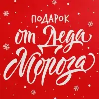 Набор новогодних пакетов &laquo;Новогодний подарок&raquo;