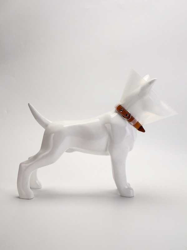 Ветеринарный воротник с креплением на ошейник, высота 15 см (без ошейника)