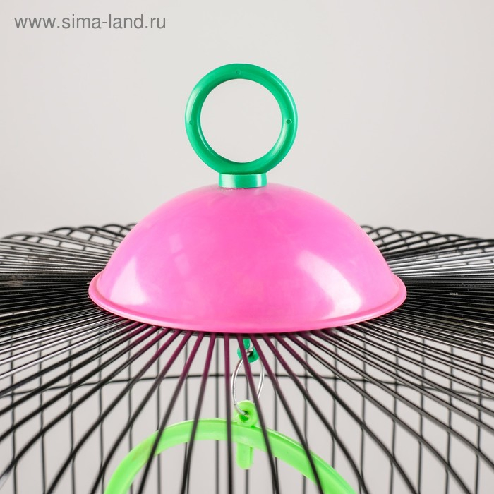 Клетка для птиц круглая, двухъярусная сварная, большой поддон, 39 x 44 см, микс цветов Клетка для птиц круглая, двухъярусная сварная, большой поддон, 39 x 44 см, микс цветов