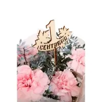 Топпер ассорти "1 сентября", школа, МИКС