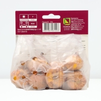 Гладиолус крупноцветковый &laquo;Пёпл Флора&raquo;, луковица цветов в пакете с перфорацией, р-р 10/12, 10 шт.