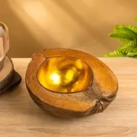 Чаша из кокоса, 22х24,5х9 см, коричнево-золотой