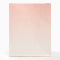 Набор крафтовых пакетов со стикерами, Принцессы, 18х22х12 см