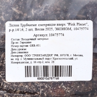 Лилии Трубчатые смотрящие вверх "Pink Planet", р-р 14/16, 2 шт, Весна 2025, ЭКОНОМ,