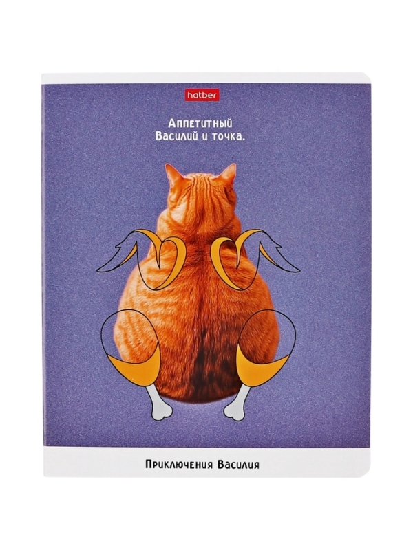 Тетрадь 48л кл на скобе "Приключения Василия", скругл углы, обл мел бум, 45 МИКС