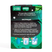 Растущие животные в яйце &laquo;Акула&raquo; МИКС