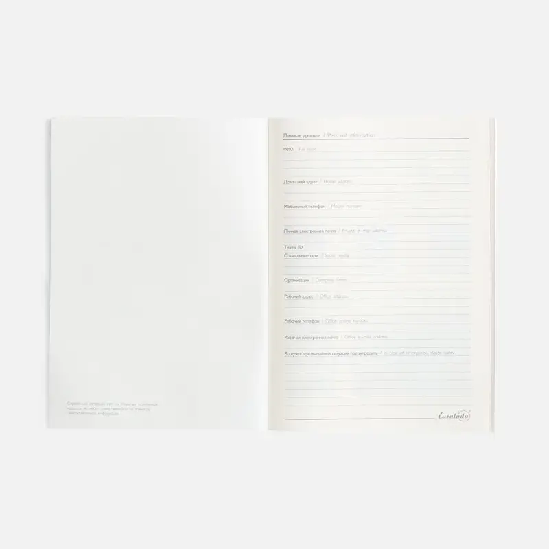 Ежедневник Repute, недатированный, серый