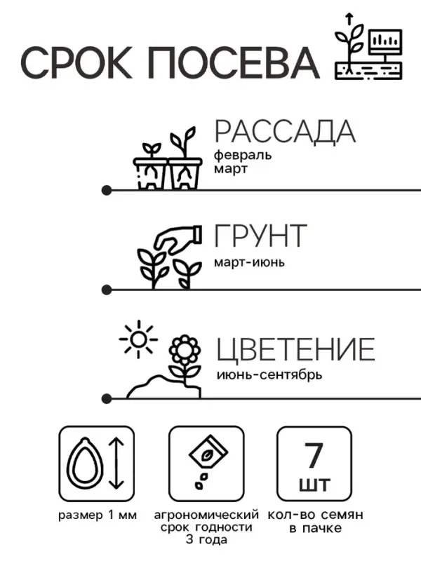 Семена цветов Катарантус "Пацифика смесь", 7 шт