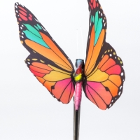 Штекер с подсветкой "Бабочка Адриа" розовая, 12х70см