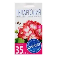 Набор семян Пеларгония "Пинто Скарлет Стар", F1, 3 шт.